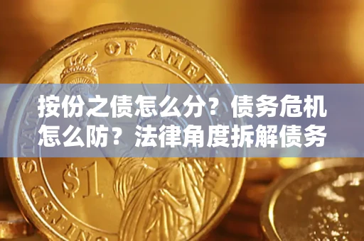 武汉按份之债怎么分？债务危机怎么防？法律角度拆解债务分配与风险自保指南