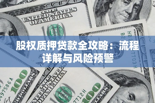 武汉股权质押贷款全攻略：流程详解与风险预警
