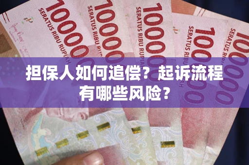 武汉担保人如何追偿？起诉流程有哪些风险？