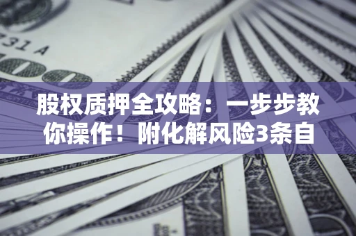 武汉股权质押全攻略：一步步教你操作！附化解风险3条自救法则