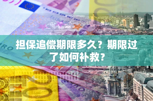 武汉担保追偿期限多久？期限过了如何补救？