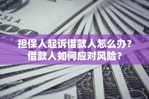 武汉担保人起诉借款人怎么办？借款人如何应对风险？