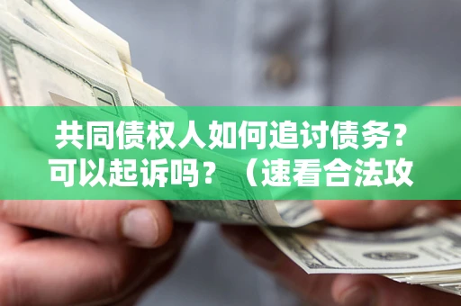武汉共同债权人如何追讨债务？可以起诉吗？（速看合法攻略）