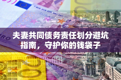 武汉夫妻共同债务责任划分避坑指南，守护你的钱袋子