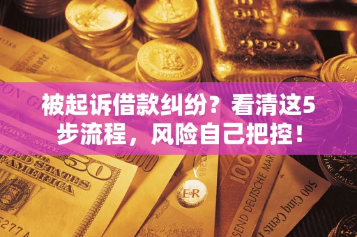 武汉被起诉借款纠纷？看清这5步流程，风险自己把控！