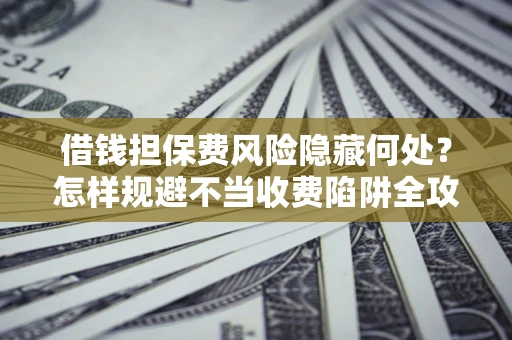 武汉借钱担保费风险隐藏何处？怎样规避不当收费陷阱全攻略！
