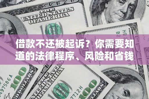 武汉借款不还被起诉？你需要知道的法律程序、风险和省钱技巧